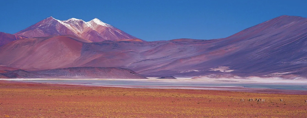 Chile's national mining company Codelco signs lithium production agreement with SQM.